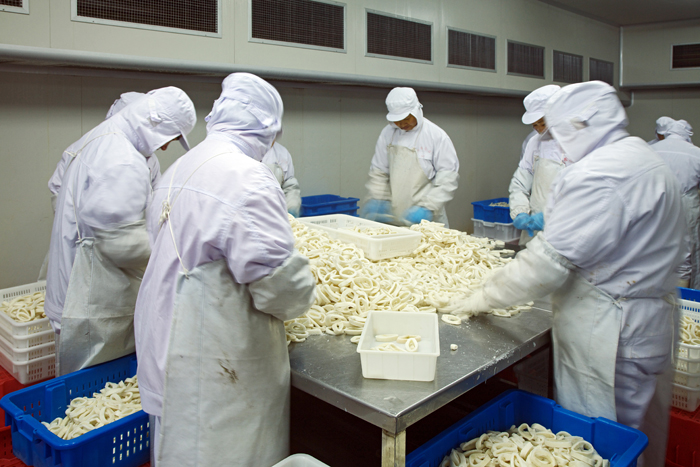 entorno de procesamiento5