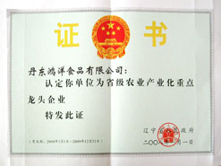 省龙头企业证书