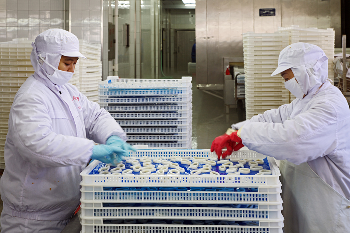 Processing Environment4