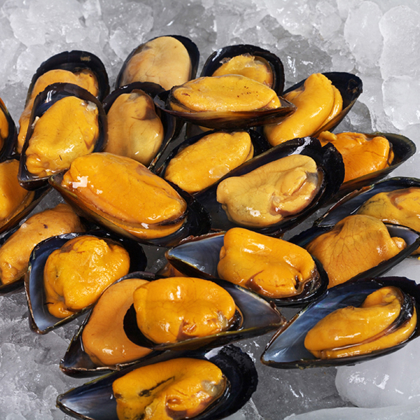 half shell mussel