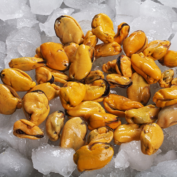mussel meat
